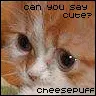 Say Cute!