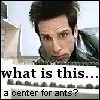 A center for ants