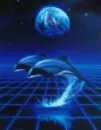 dolphins