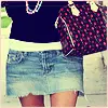purse