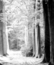 Long way to go