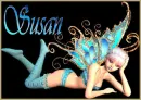 Susan Fairy Tag