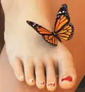 AtracciÃ³n