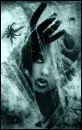 Spiders