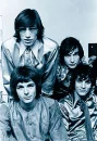 pink floyd