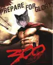 300 Kitty Spartan