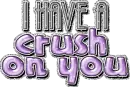 I Have A Crush On You