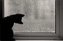 Rainy day