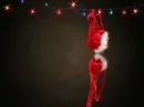 Christmass gift ;)