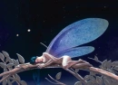 fairy