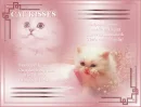 Kitty kiss