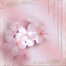 Pink&Gold