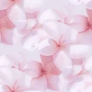 Pink flowers