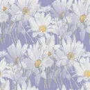 daisys fild