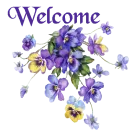 Purple flowers