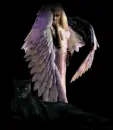 Pink angel