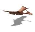 Flying Pterodactyl 