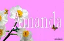 Amanda