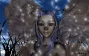 winter faery