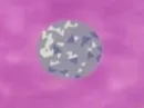 Crystal 