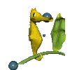 seahorse