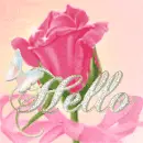 hello