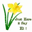 Just Here 2 Say Hi!