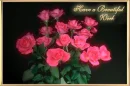 Have A Beautiful Week