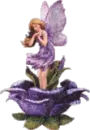 Fairy