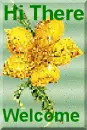 hello friends