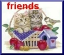 Friendship