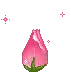 flower/heart