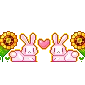 bunnies