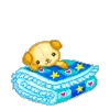 bear