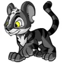 Kougra in skunk paint