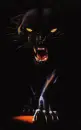 Bad Kitty
