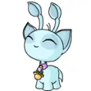 Aisha