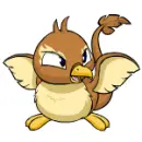Pteri