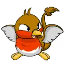 Pteri