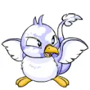 Pteri