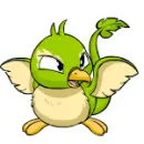 Pteri