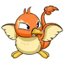 Pteri