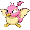 Pteri