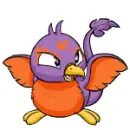 Pteri
