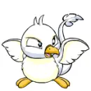 Pteri