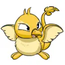Pteri