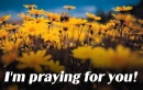 I'M PRAYING FOR YOU