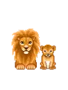 lion and cub