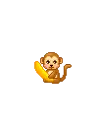 monkey