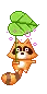 racoon